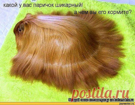 супер паричок....