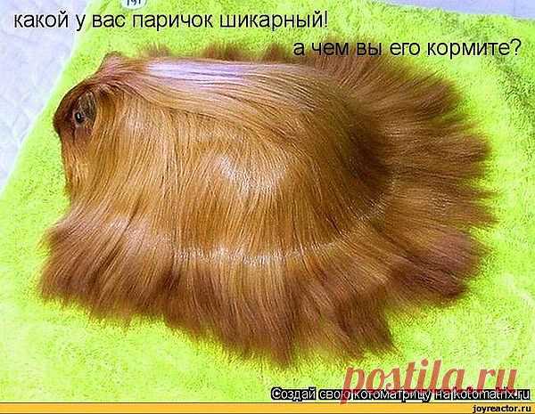 супер паричок....