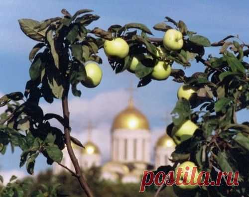 Магические дни в августе. Праздники, приметы обычаи.