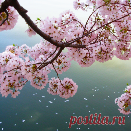 Красота))))