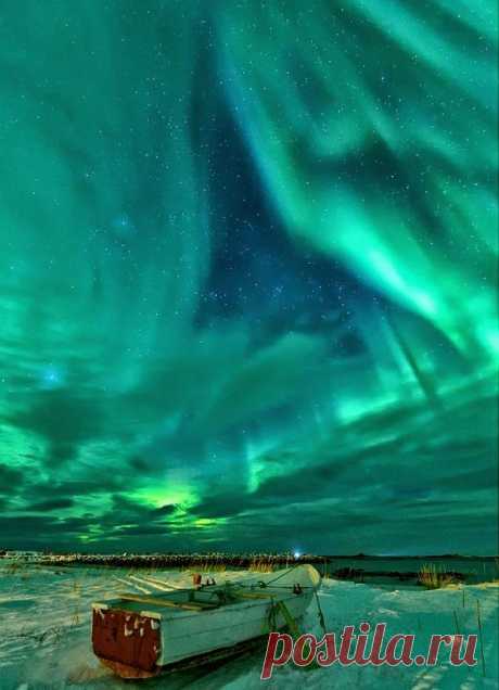 9139ae0d92c4bfbc8da5627eed5ebae0--northern-lights-norway-see-the-northern-lights.jpg (591×817)