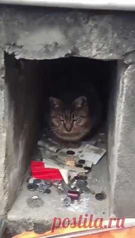 Только попробуй взять