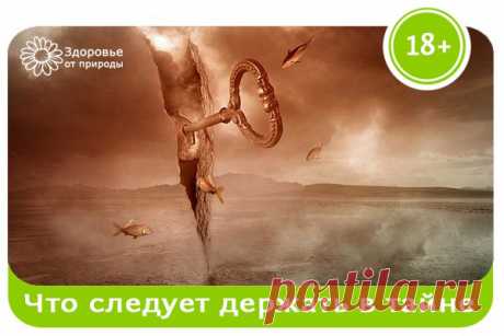 Диалоги