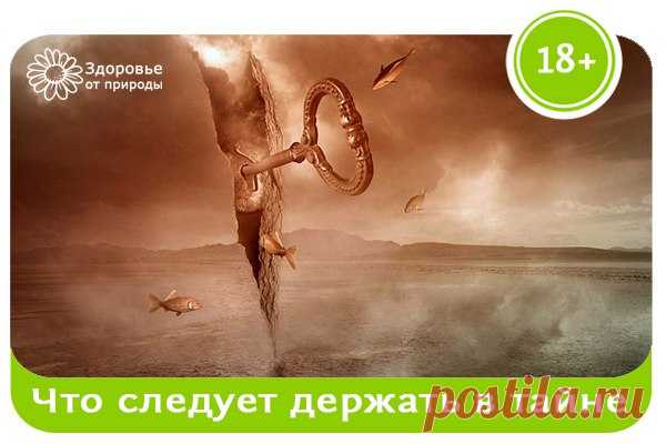 Диалоги