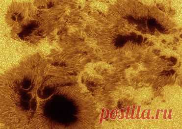 В преддверии феерии.GOinf