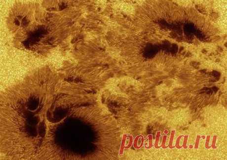 В преддверии феерии.GOinf