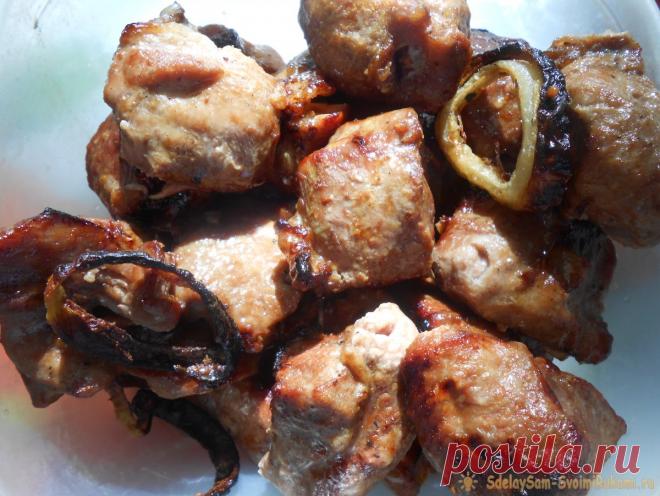 Аж сок течет - армянин делится секретом сочного шашлыка Вкусный, мягкий и сочный шашлык – мечта и гордость любого кулинара, как профессионала, так и любителя. По отзывам опытных поваров армянской кухни, для того, чтобы жареное мясо приобрело оригинальный вкус и аппетитный аромат, его перед готовкой обязательно маринуют в смеси специй и соли, а также в