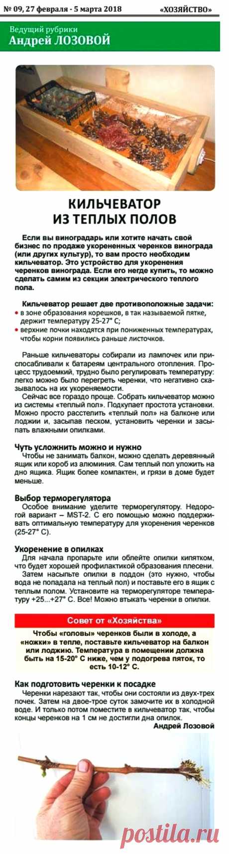 Кильчеватор для укоренения черенков винограда своими руками

| клубника на зиму