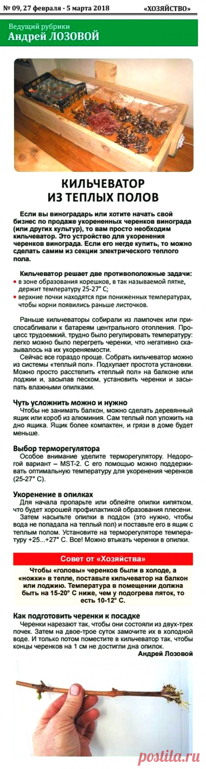 Кильчеватор для укоренения черенков винограда своими руками