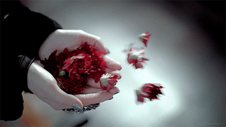 beautiful-flower-animated-gif15.gif (500×281)