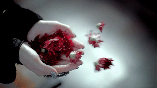 beautiful-flower-animated-gif15.gif (500×281)