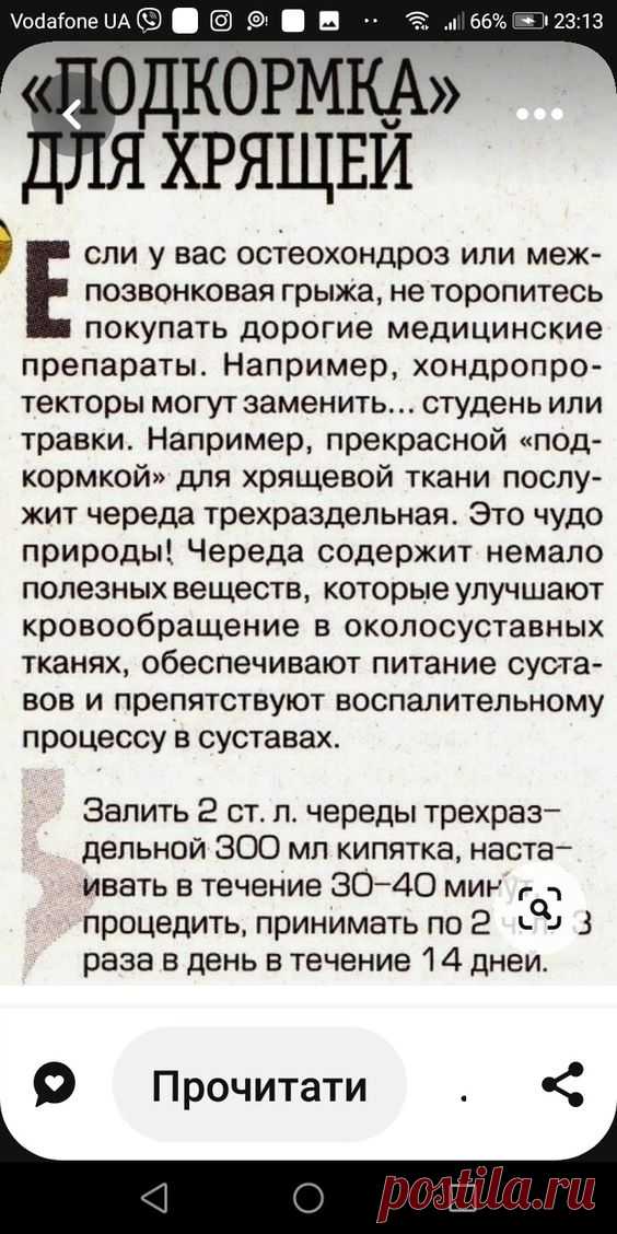 Pin page