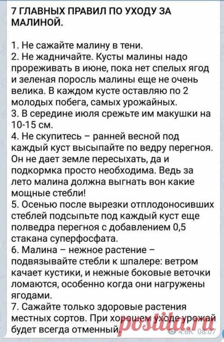 ДАЧНЫЕ ЗАМЕТКИ — На заметку. | OK.RU