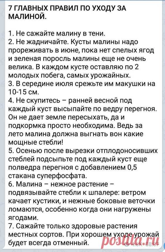 ДАЧНЫЕ ЗАМЕТКИ — На заметку. | OK.RU