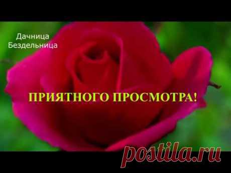 Декор Дачного Колодца-Пенек из Бетона 2-я часть