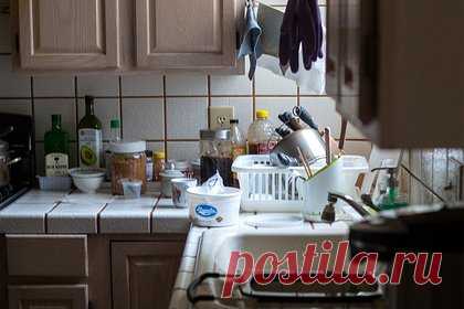 Любительница уборки назвала самые грязные места на кухне. Фанатка уборки Даниэль Мейсон, которая делится в социальных сетях правилами поддержания чистоты в доме, перечислила места на кухне, где скапливается больше всего бактерий. По ее словам, источником загрязнений являются выключатель, ручки шкафов, тряпки для поверхностей, полотенца и кухонная раковина.