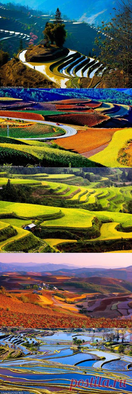 Фото Zhang Ning. Китай. УДИВИТЕЛЬНАЯ КРАСОТА | Приветствуем ВАС на сайте ГАЛАКТИКА