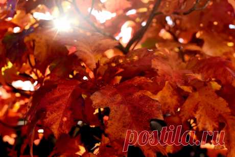 Rudens spalvų grožis Europoje | GALERIJA | Ji24.lt