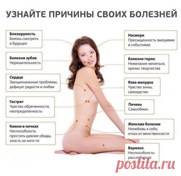 774937a992e1c31b5d0fd3f9e7c72d8e.jpg (604×586)