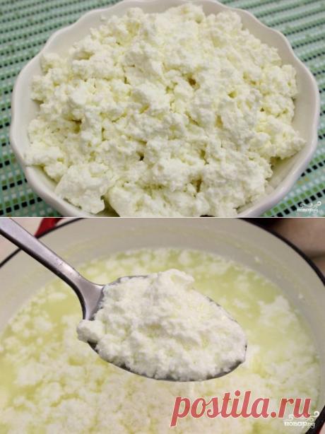 Домашний творог из молока - пошаговый кулинарный рецепт на Повар.ру