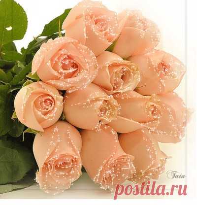 Картинки и открытки для Одноклассников: ОДНОКАРТИНКИ.РУ