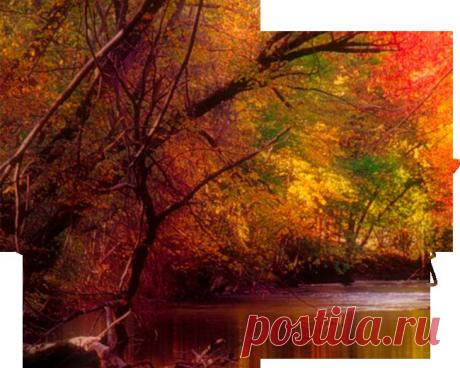 Плейкаст «ЛИСТЬЯ ЖЕЛТЫЕ ,НАД ГОРОДОМ КРУЖАТСЯ, ТИХИМ ШОРОХОМ ПОД НОГИ ЛОЖАТСЯ»