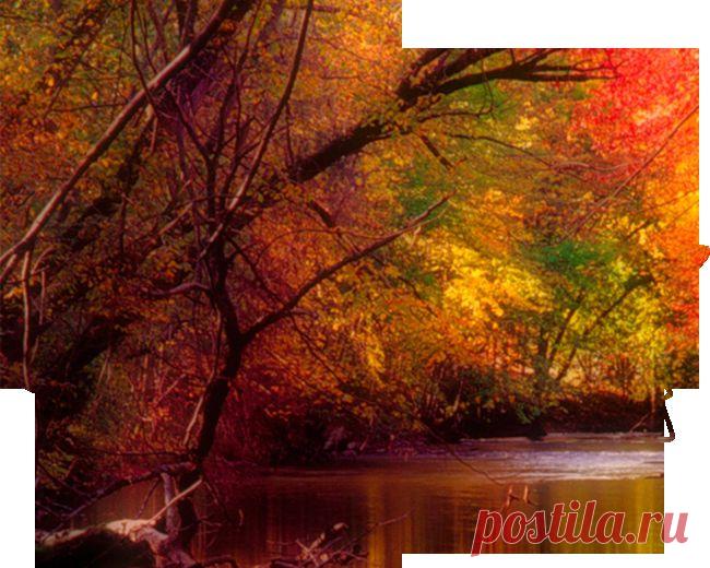 Плейкаст «ЛИСТЬЯ ЖЕЛТЫЕ ,НАД ГОРОДОМ КРУЖАТСЯ, ТИХИМ ШОРОХОМ ПОД НОГИ ЛОЖАТСЯ»