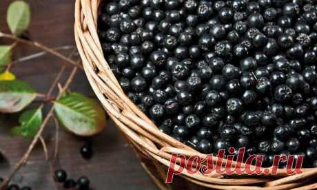 Ученые обнаружили продукт, который за 5 минут уничтожает 97% коронавируса - Наука и техника - медиаплатформа МирТесен Фото из открытых источников Ученые из Института молекулярной вирусологии Медицинского центра Университета Ульма выяснили, что некоторые натуральные продукты способны снижать активность COVID-19 в организме человека. Об этом стало известно ESOREITER. (esoreiter.ru) Ученые провели исследование, в