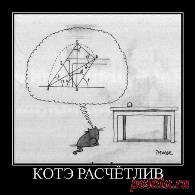котэ