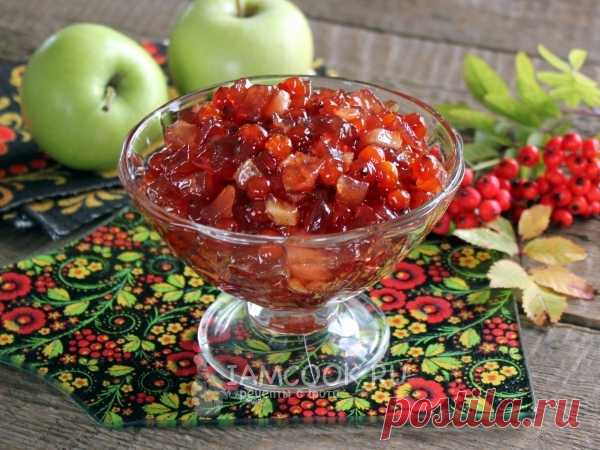 Варенье из красной рябины с яблоками — рецепт с фото Рецепт яблочного варенья с пикантным рябиновым вкусом.