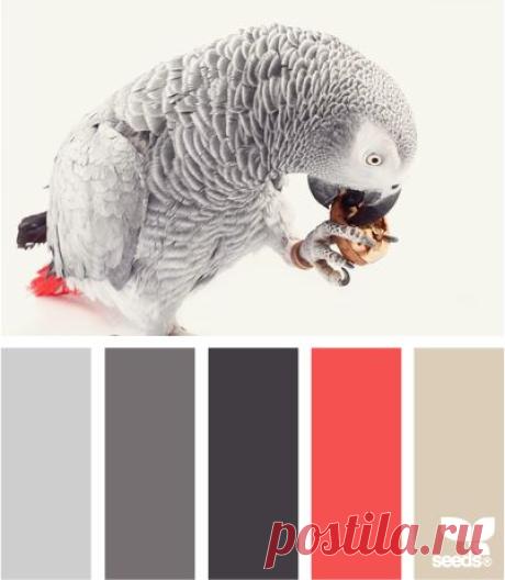 Pinterest: инструмент для поиска и хранения интересных идей