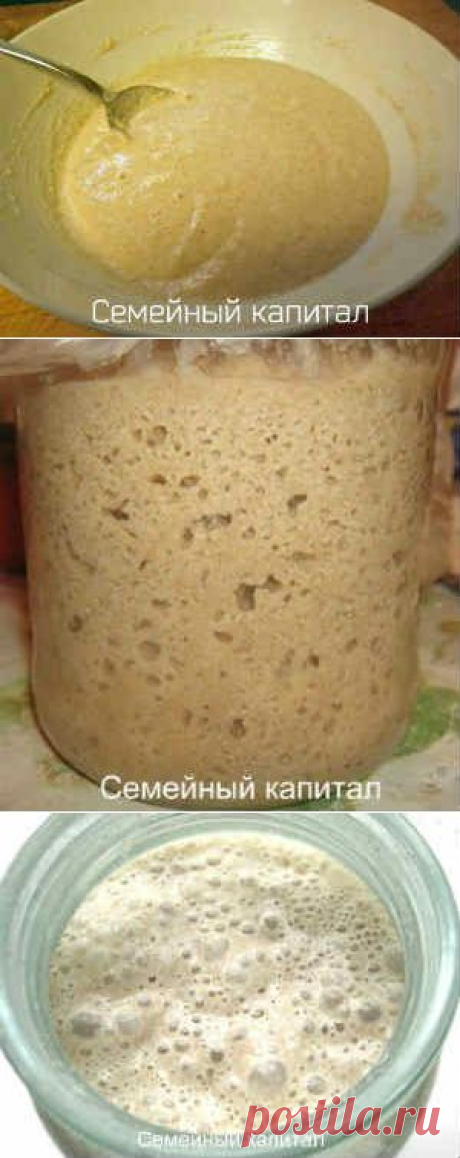Как сделать закваску для хлеба