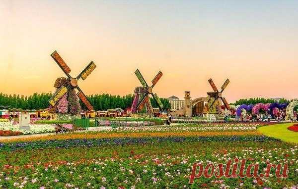 Сад чудес в Дубае посреди пустыни - Путешествуем вместе