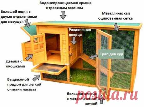 Курятник на даче