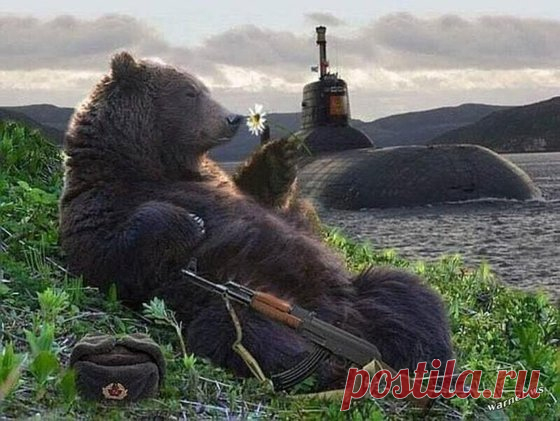 Экс-советник президента США: Русская империя вернулась, смиритесь!