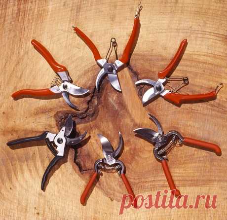 Як вибрати хороший секатор?