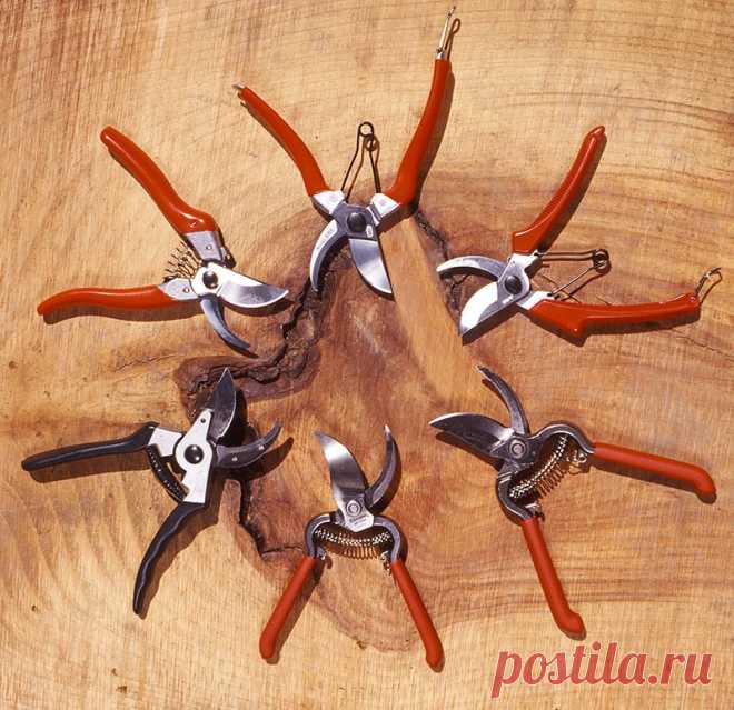Як вибрати хороший секатор?