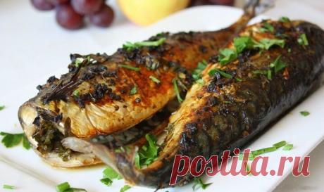 Божественно приготовленная скумбрия | MASTER-FISHER.RU | Яндекс Дзен