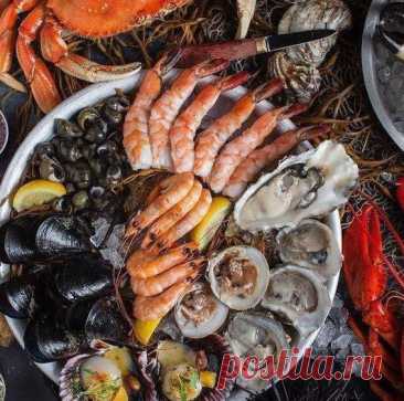 Возвращаем эластичность кожи с помощью морепродуктов
