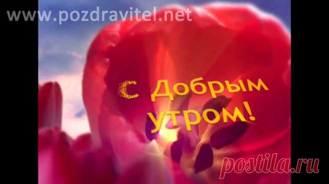 анимация красивые картинки - Поиск в Google