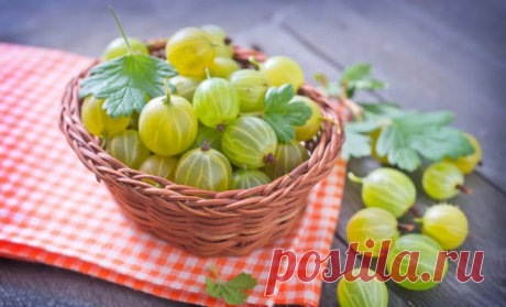 Что приготовить из крыжовника на зиму – 9 невероятно вкусных закаток 


Крыжовник – очень необычная ягода, примечательная не только своим внешним сходством с арбузом, но и особым вкусом. Как сохранить этот вкус и лакомиться ягодами в холодные зимние вечера? Прочтите ст…
