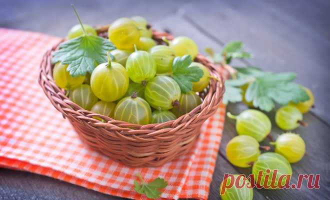 Что приготовить из крыжовника на зиму – 9 невероятно вкусных закаток 


Крыжовник – очень необычная ягода, примечательная не только своим внешним сходством с арбузом, но и особым вкусом. Как сохранить этот вкус и лакомиться ягодами в холодные зимние вечера? Прочтите ст…