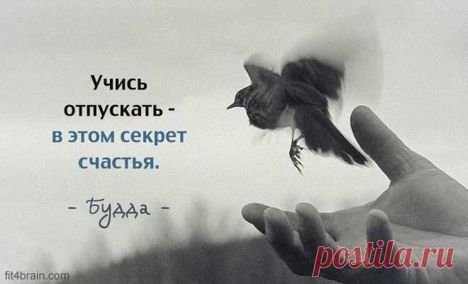 Одной фразой – Фитнес для мозга