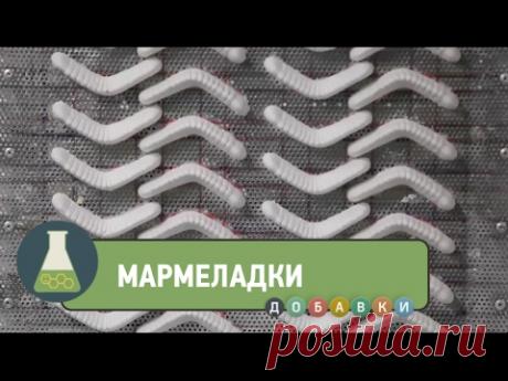 Мармеладки с экзотическими насекомыми