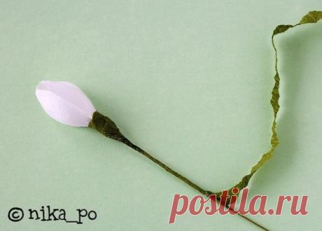 МК Подснежники из бумаги - Другие поделки из бумаги и картона
