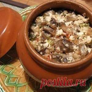 ГРЕЧКА ИЗ ГОРШКА