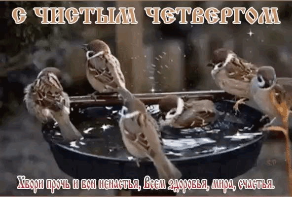 785c90e5-e2d7-43df-995e-d96d52ea0467.gif (592×400)