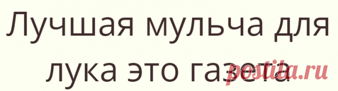 Лучшая мульча для лука это газета
Если хотите собрать прекрасный урожай лука — применяйте в качестве мульчирующего материала...
Читай дальше на сайте. Жми подробнее ➡