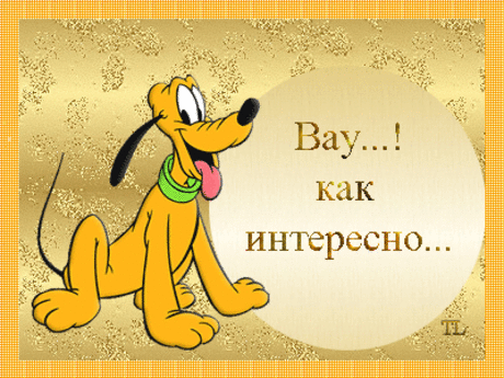 Комнатные растения рядом с нами.