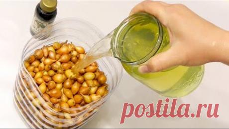 ТРОЙНАЯ ЗАЩИТА ЛУКА СЕВКА ПЕРЕД ПОСАДКОЙ! ОБРАБОТКА ОТ БОЛЕЗНЕЙ, ВРЕДИТЕЛЕЙ + ПОДКОРМКА!